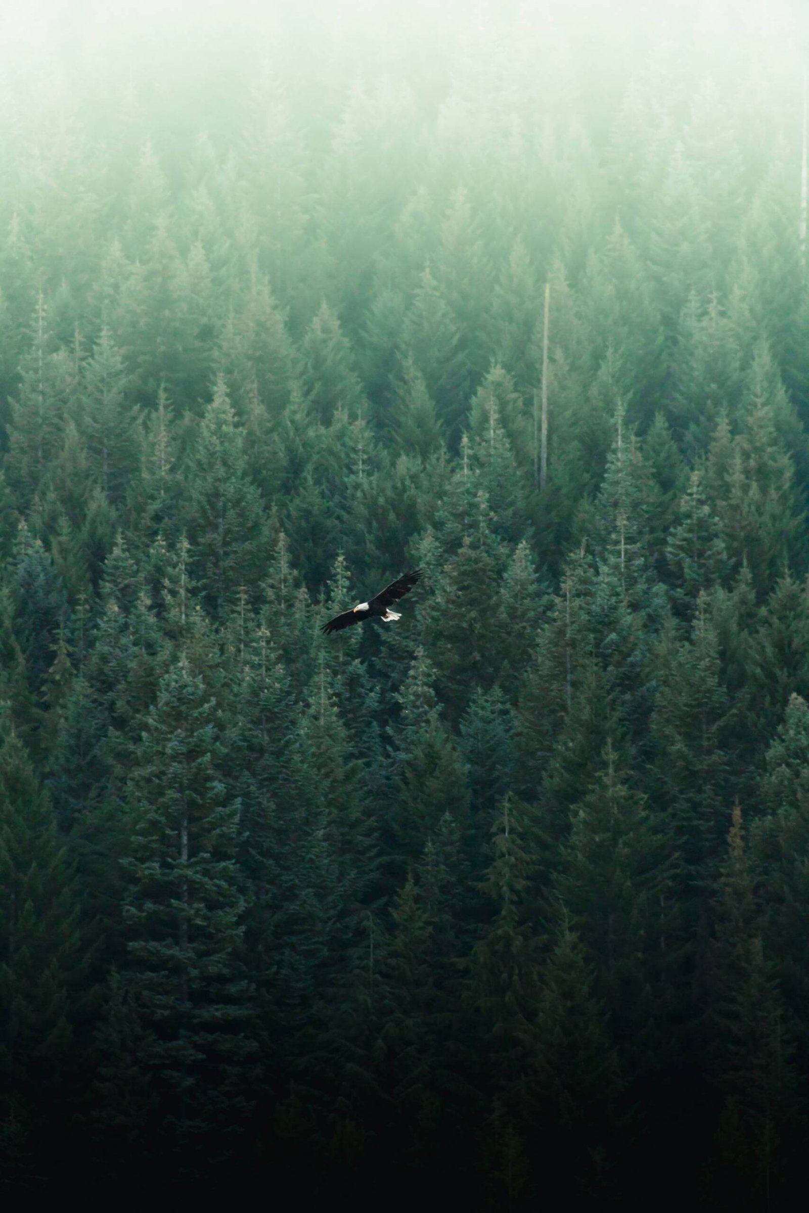 adam-bixby-GEJBGjmvAr0-unsplash